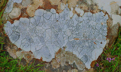 Stone pattern