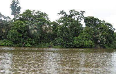 Tortuguero main lagoon