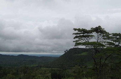 Birding at Heliconias Lodge