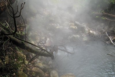 g1/92/811692/3/108025938.GvebrgdF.jpg