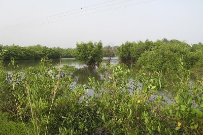 Kotu creek from the bridge