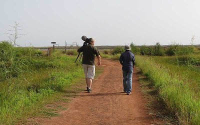 The path to the shrimp farm