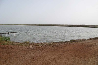 Open brackish water