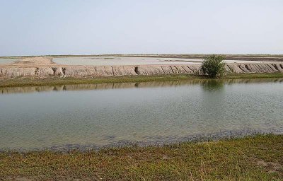 Saline flats