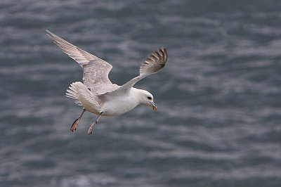 g1/92/811692/3/111923874.jh57x3QV.jpg