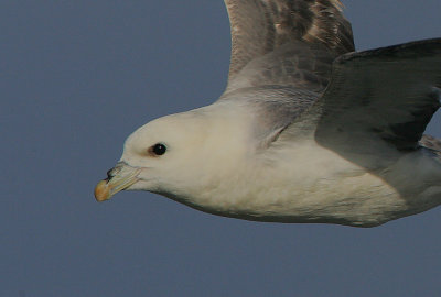 g1/92/811692/3/113494957.KpEhMPjn.jpg