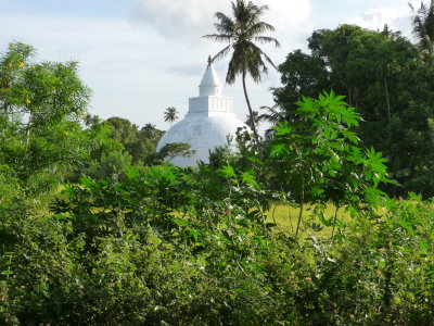 Tissamaharama Dagoba (Stupa)