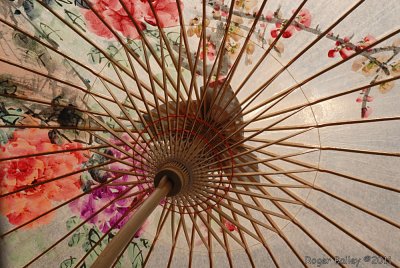 Inside a Taiwanese paper umbrella.