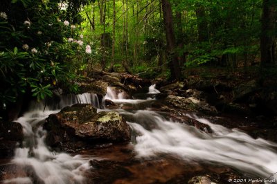 Cabin Creek Trail