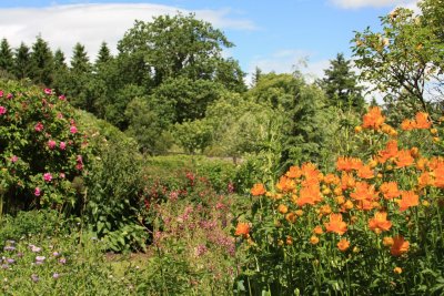 Drum Castle Garden in June