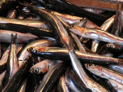 sardine-du-Rialto