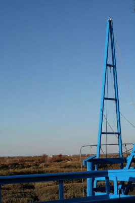 bleu