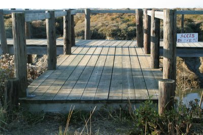 ponton