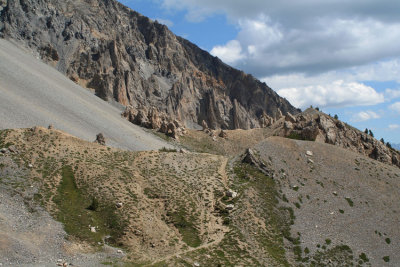 col-de-lizoard