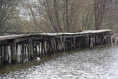 passerelle