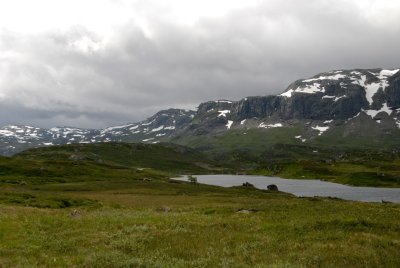 g1/92/879892/3/117414298.d50vSKbS.jpg