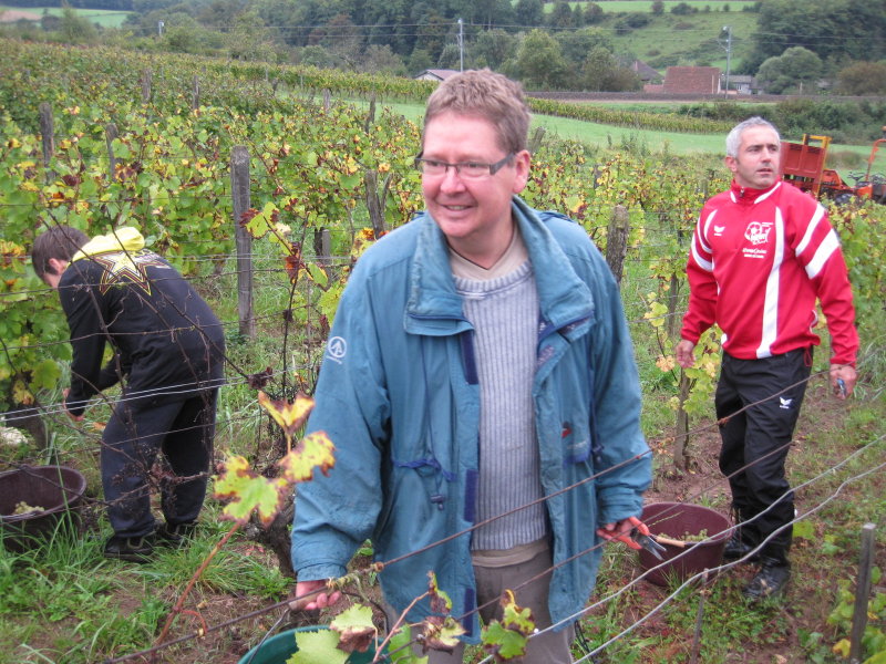 Vendanges Grappe 2012 004.jpg