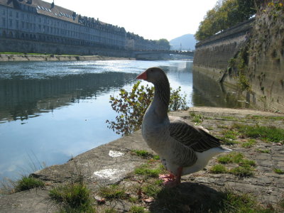 Besancon 43.jpg