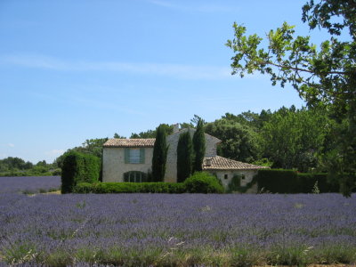 Provence 2009 007.jpg