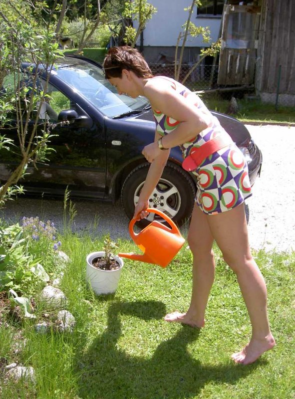 PICT3951.JPG