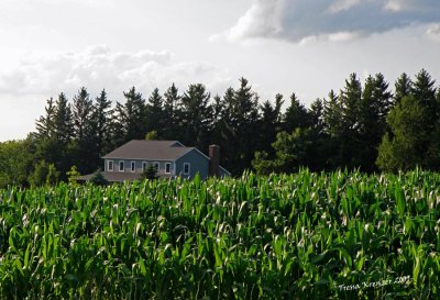 g1/92/910492/3/115450618.wJ3Nb9a2.jpg