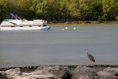 florida_keys_adventure