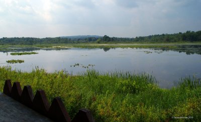 Big Pond.jpg