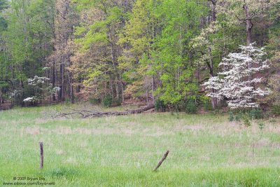 Spring-Color_MG_5327.jpg