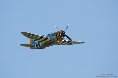 P-47_X8L3119.jpg