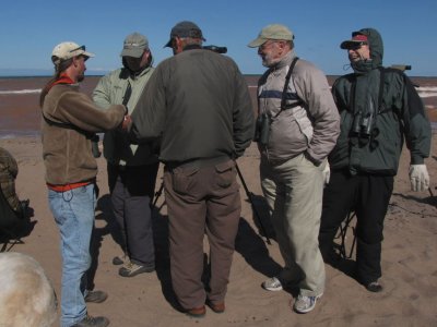 Gull ID conference - Friday.jpg