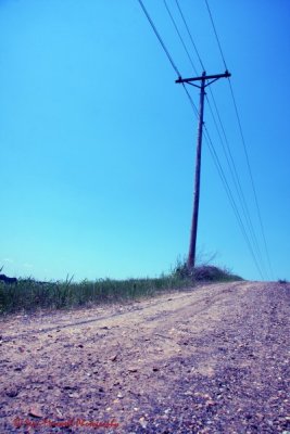 Telephone Pole on a Dirt Road in Alabama