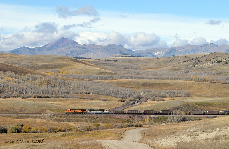 Spotted Robe, MT