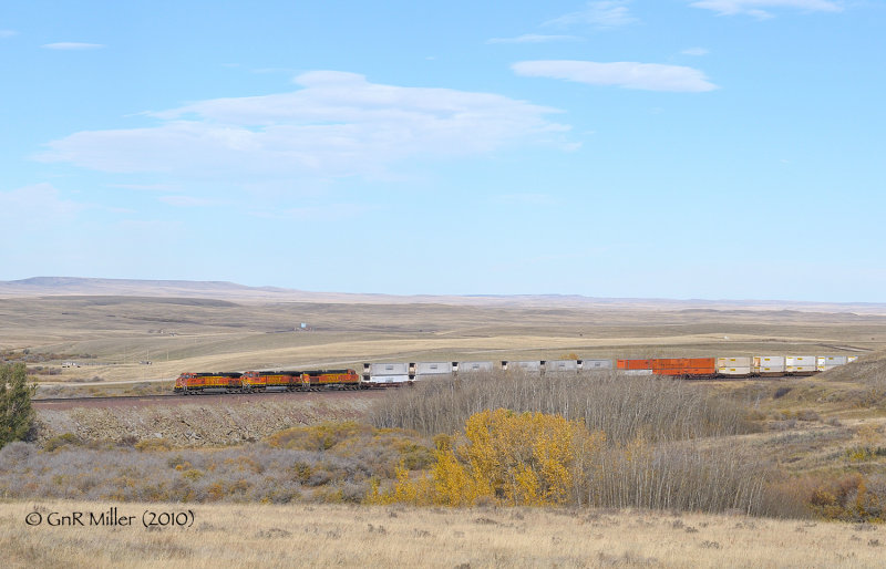 Spotted Robe, MT