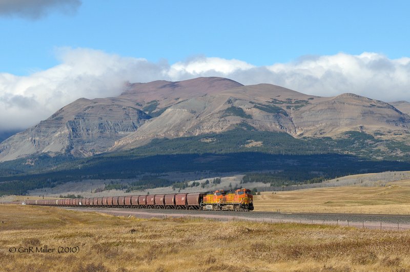 Grizzley, MT
