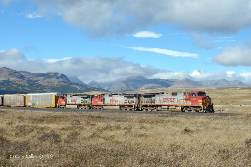 Grizzley, MT