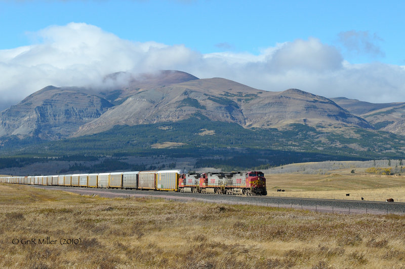 Grizzley, MT