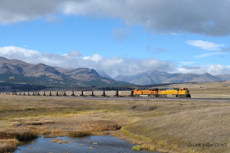 Grizzley, MT