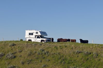 Hatton, SK