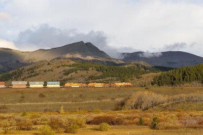 Bison, MT