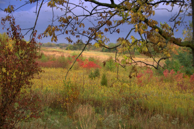 Rainbow of Fall