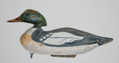 Red-Breasted Merganser Mason Decoy Factory Circa 1898