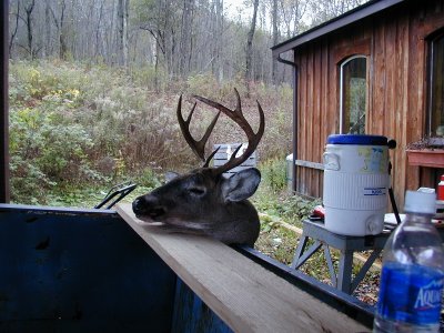 Oh Deer!