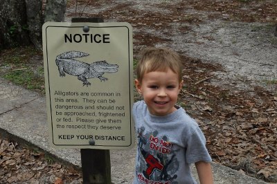 Not afraid of alligators