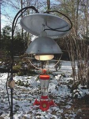 Winter Hummingbird Heaters