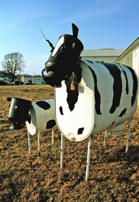 SD Rural Humor