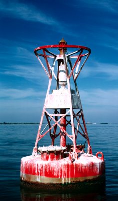 What Color Is That Buoy?