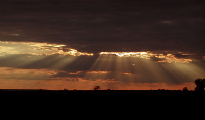 A Light from Above