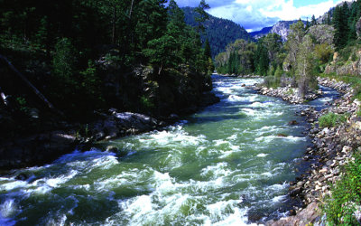 Mountain Stream