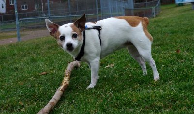 Busy & Her Stick