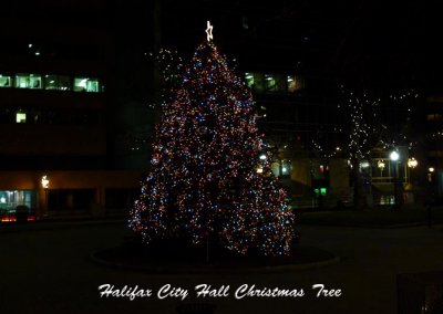 City Christmas Tree